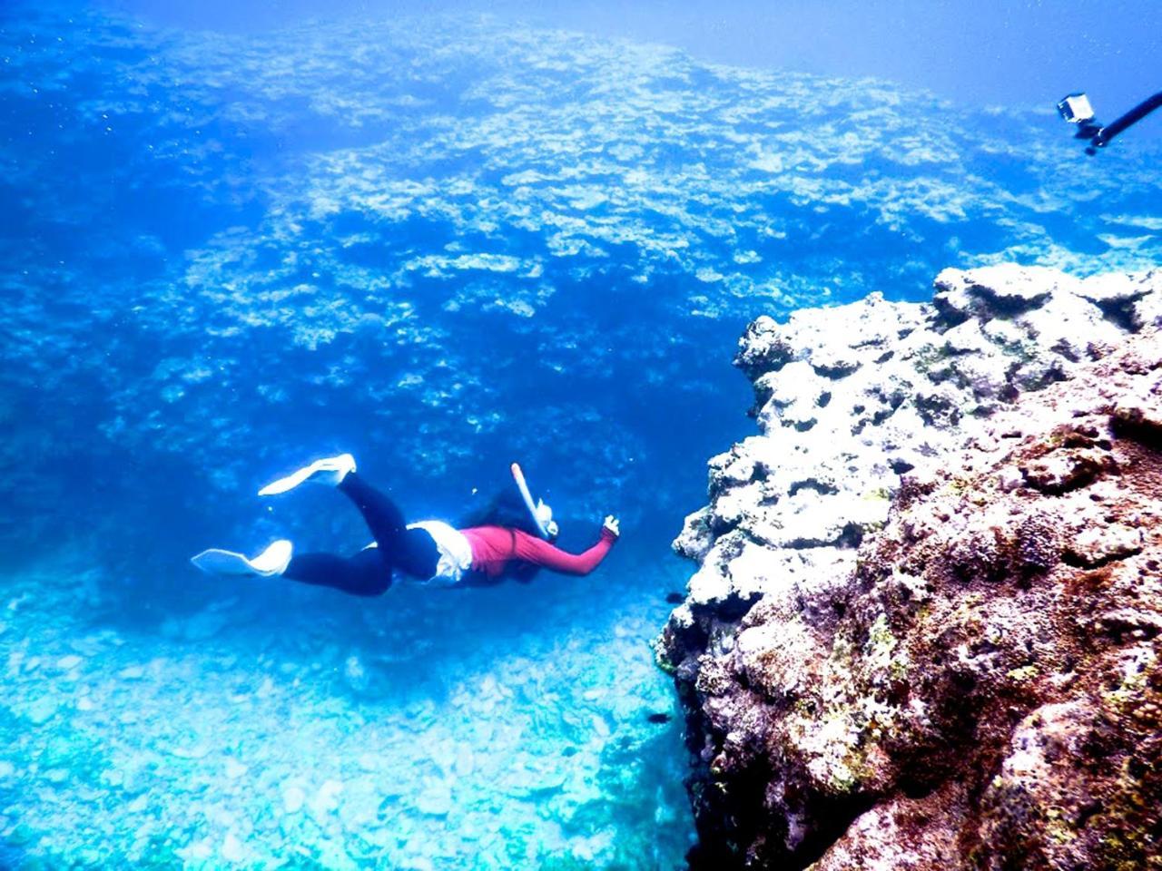 Guesthouse Ho Aloha Ishigaki  Eksteriør billede